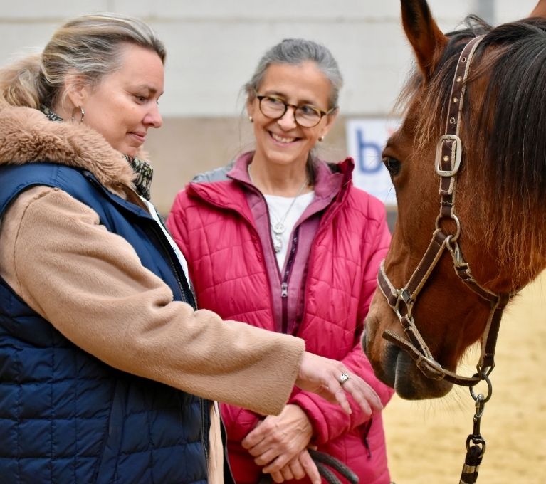 Coaching d’équipe : renforcer la cohésion d’équipe grâce aux chevaux